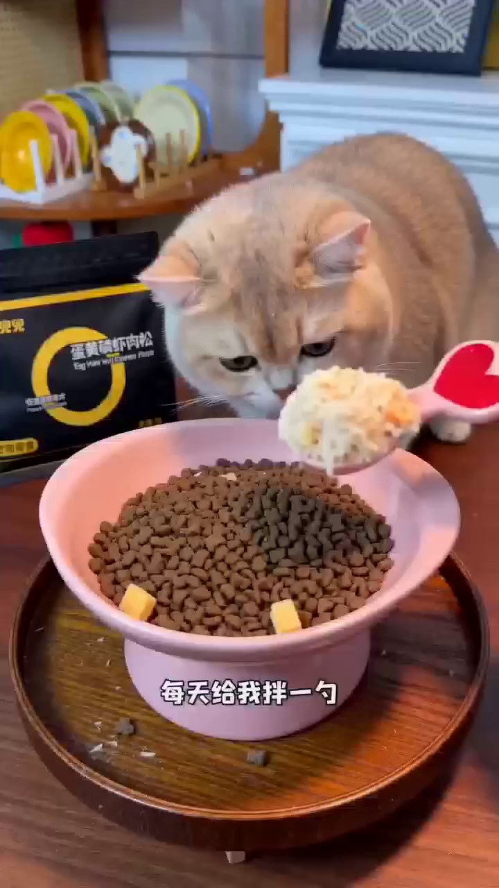 貓咪與鮮雞肉鬆拌糧商品畫面